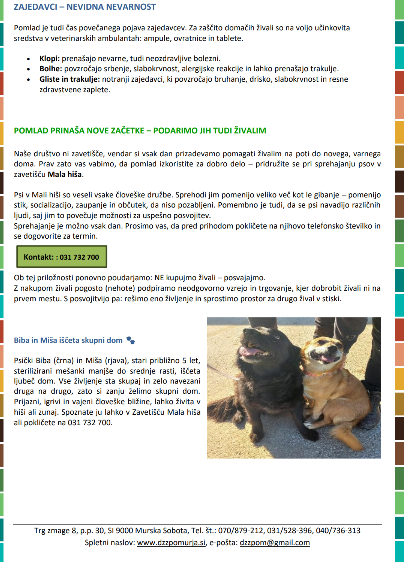 Posnetek zaslona 2026-03-06 074707